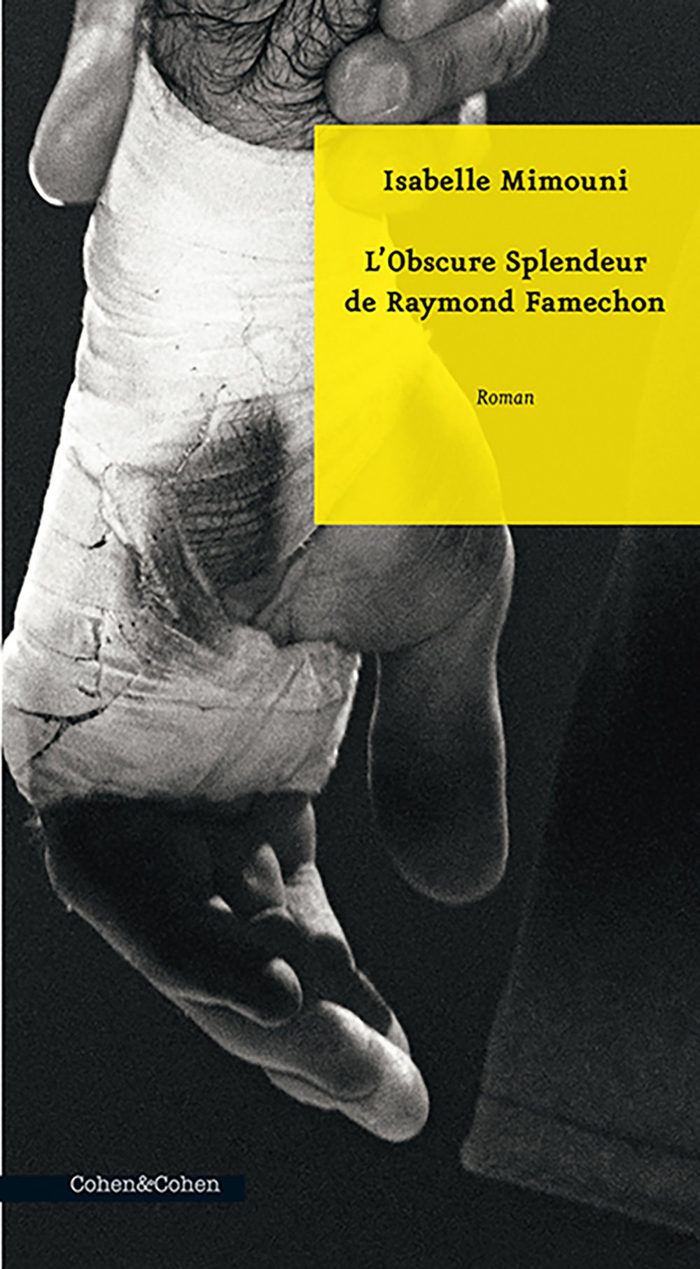 L'OBSCURE SPLENDEUR DE RAYMOND FAMECHON